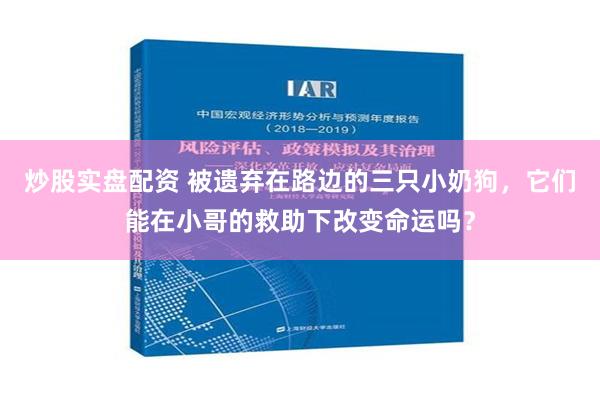 炒股实盘配资 被遗弃在路边的三只小奶狗，它们能在小哥的救助下改变命运吗？