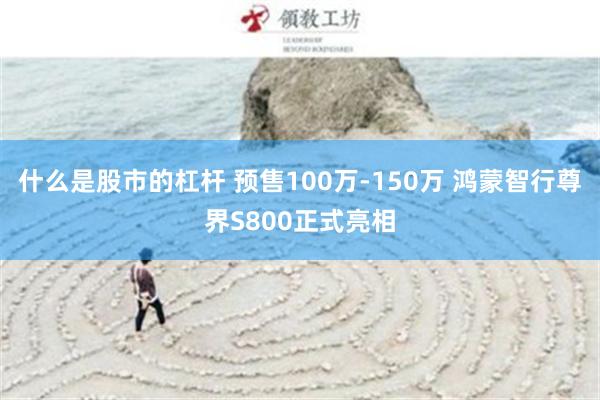 什么是股市的杠杆 预售100万-150万 鸿蒙智行尊界S800正式亮相